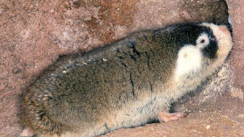 Little Giants Season 1 Episode 8 - Episode 8