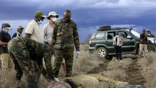 Chasing the Rains Season 1 Episode 4 - The Inside Story