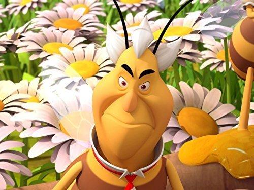 Maya the Bee Season 1 Episode 1 - The Birth of Maya