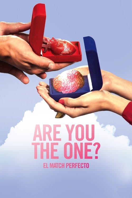 Are You The One? El Match Perfecto poster