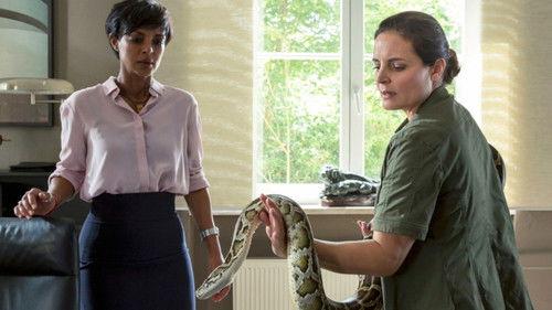 Tierärztin Dr. Mertens Season 6 Episode 12 - Episode 12