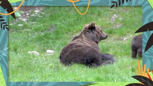 Kukurota Season 4 Episode 8 - Episode 8