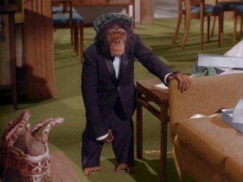 Bewitched Season 2 Episode 1 - Alias Darrin Stephens