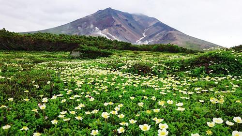 Wild Hokkaido! Season 1 Episode 12 - Summer of Taisetsu Mountain Range
