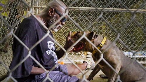 Pit Bulls and Parolees Season 15 Episode 6 - One Man's Treasure