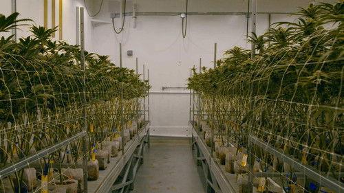 VICE News Tonight Season 5 Episode 20 - Monday, February 8, 2021