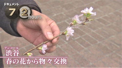 Document 72 Hours Season 9 Episode 6 - Shibuya: Spring Flowers and Bartering