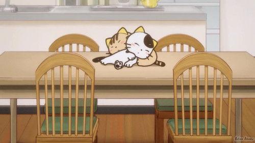 Uchitama?! Have You Seen My Tama? Season 1 Episode 23 - Don't Fall Asleep