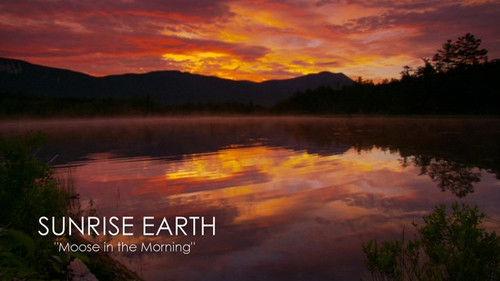 Sunrise Earth Season 1 Episode 1 - Moose in the Morning