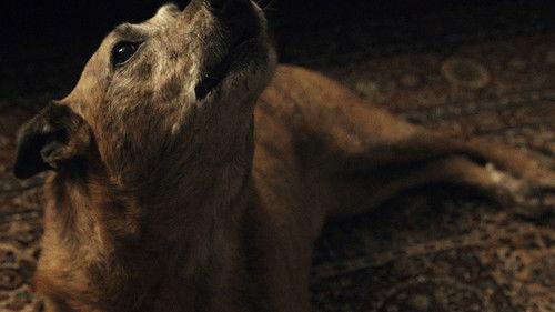 Etheria Season 6 Episode 1 - Bitten