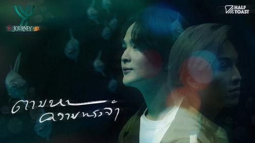 Background image for Memories