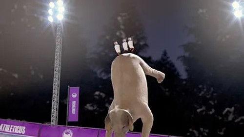 Athleticus Season 2 Episode 8 - Episode 8