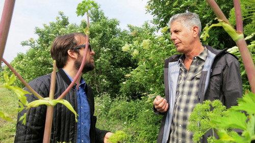 Anthony Bourdain: Parts Unknown Season 2 Episode 4 - Copenhagen