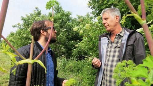 Anthony Bourdain: Parts Unknown Season 2 Episode 4 - Copenhagen