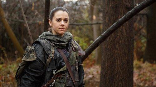 Background image for True or False