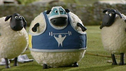 Background image for Shape Up with Shaun