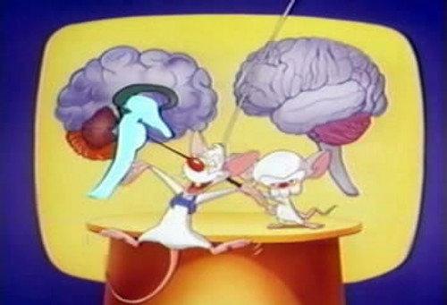 undefined Season 1 Episode 5 - Brainstem