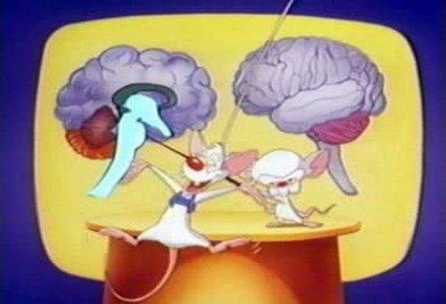 Pinky and the Brain Season 1 Episode 5 - Brainstem
