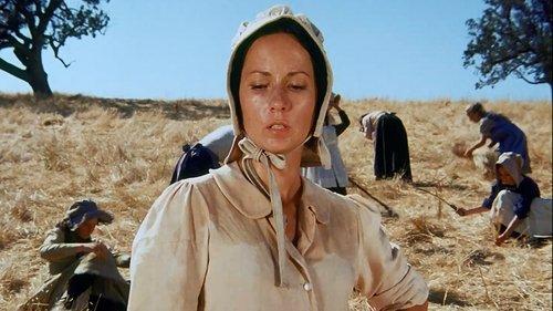 undefined Season 1 Episode 3 - 100 Mile Walk