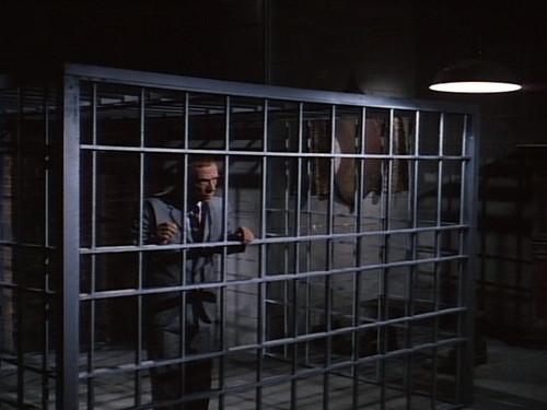 My Favorite Martian Season 3 Episode 22 - Butterball