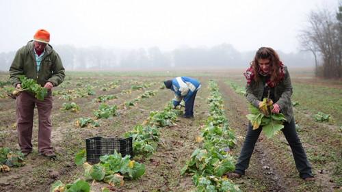 A Chef's Life Season 3 Episode 9 - They Call 'Em 'Bagas