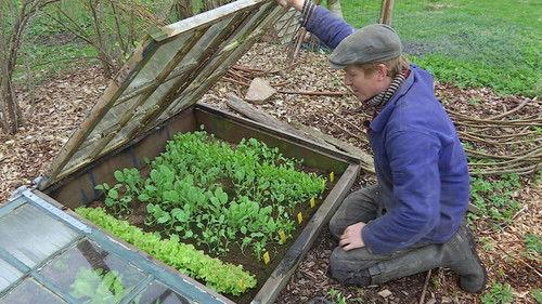 Frank & Kastaniegaarden Season 18 Episode 6 - Episode 6