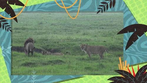 Kukurota Season 3 Episode 1 - Episode 1