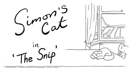 Simon's Cat Season 11 Episode 8 - The Snip