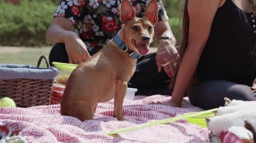 Background image for Teo