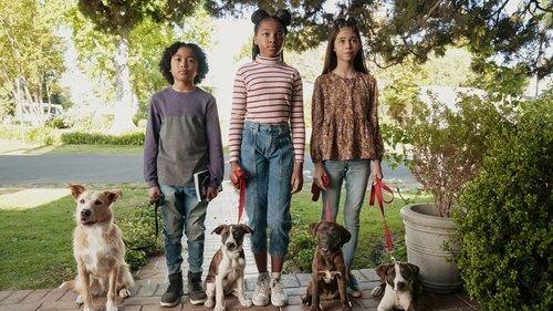 Puppy Place Season 2 Episode 4 - Buddy