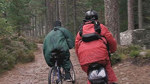 Wie is de Mol? Season 2 Episode 2 - Season 2, Episode 2