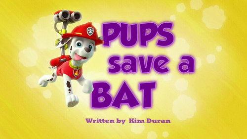 undefined Season 1 Episode 37 - Pups Save a Bat