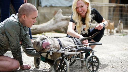 Amanda to the Rescue Season 1 Episode 6 - Mission to Puerto Rico