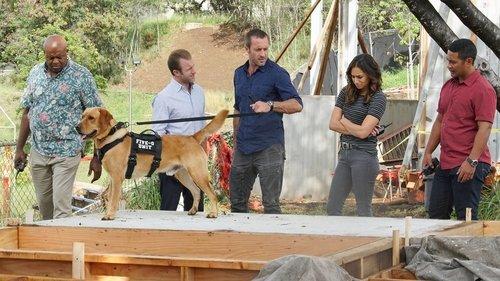 Hawaii Five-0 Season 8 Episode 16 - O na hoku o ka lani ka i ʻike ia Paeʻ (Only the Stars of Heaven Know Where Pae Is)