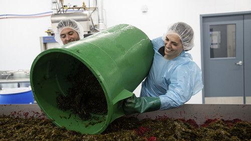 From the Source Season 2 Episode 9 - Kelp