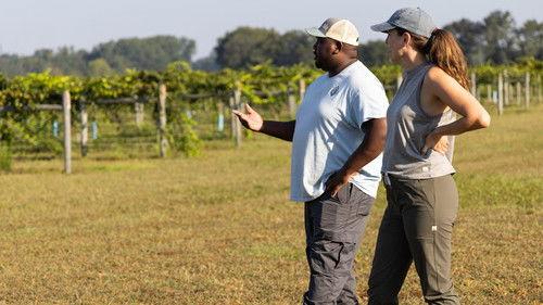 From the Source Season 3 Episode 6 - Grapes