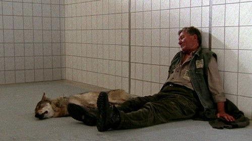 Tierärztin Dr. Mertens Season 1 Episode 10 - Episode 10