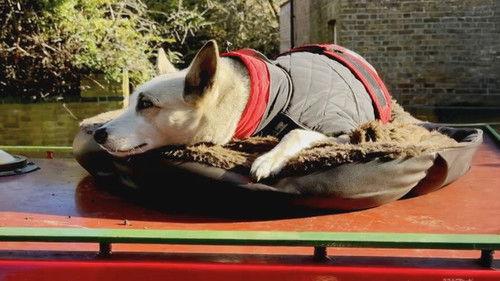 Canal Boat Diaries Season 6 Episode 9 - Cowley to Hunton Bridge