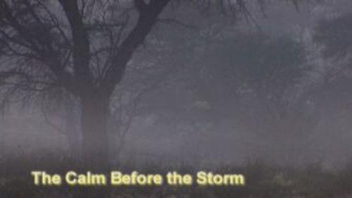 Meerkat Manor Season 1 Episode 12 - The Calm Before the Storm