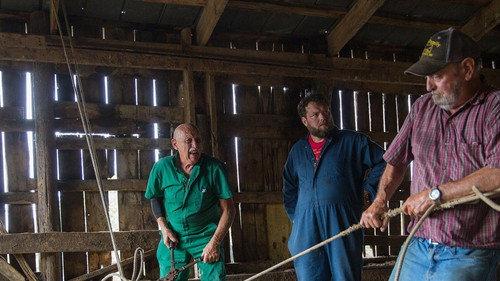 The Incredible Dr. Pol Season 18 Episode 7 - Sticks and Stones