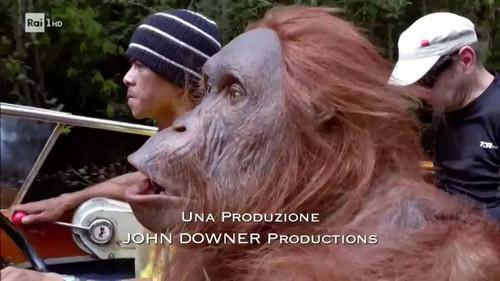 Superquark Season 24 Episode 5 - Episode 5