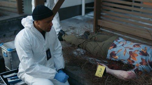 Detective Maria Kallio Season 2 Episode 4 - Surprise wedding