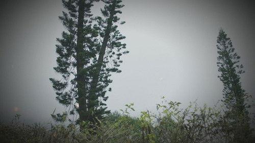 Secret Door Season 1 Episode 4 - Episode 4