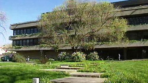 A Alma e a Gente Season 1 Episode 11 - Episode 11