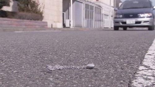 Kamen Rider Season 17 Episode 8 - Sad Melody, Loving Memory