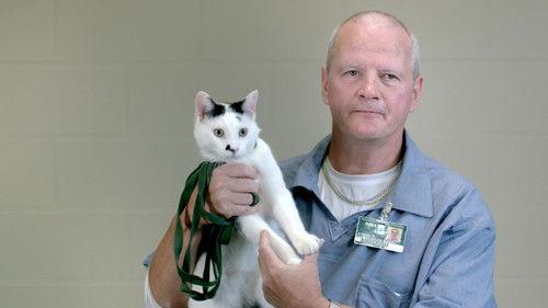 I AM A KILLER Season 2 Episode 3 - Pyro Joe