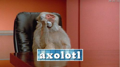 Absurd Planet Season 1 Episode 10 - Strangerer Things