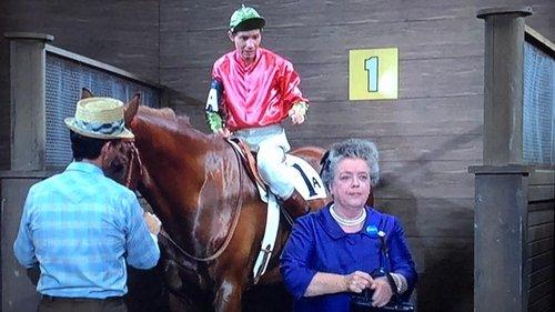 Mayberry R.F.D. Season 1 Episode 3 - The Race Horse