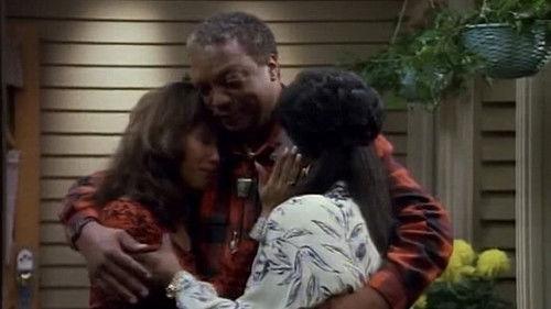 Family Matters Season 2 Episode 22 - Finding the Words