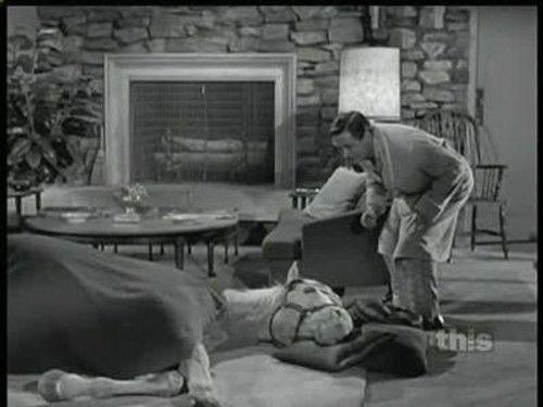 Mister Ed Season 5 Episode 18 - The Dragon Horse